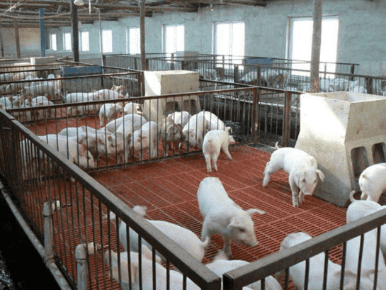 養殖廠平臺專用玻璃鋼格柵板廠家批發